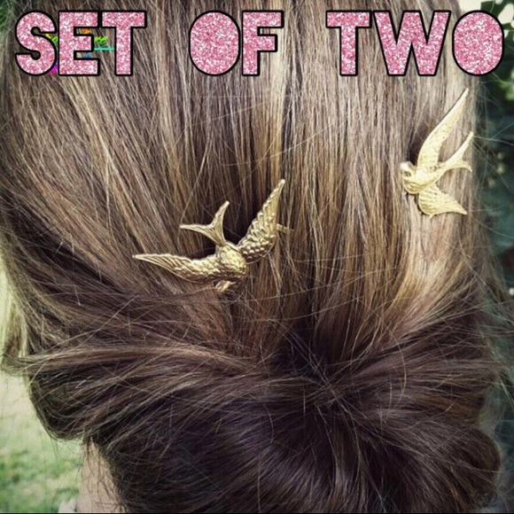 Prickly Cactus Boutique Accessories - 🛍 Sparrow Bird Set Hair Pin Barrette Accessories